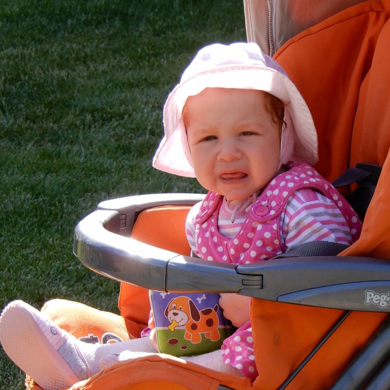 Életfa ültetés a város napján 12